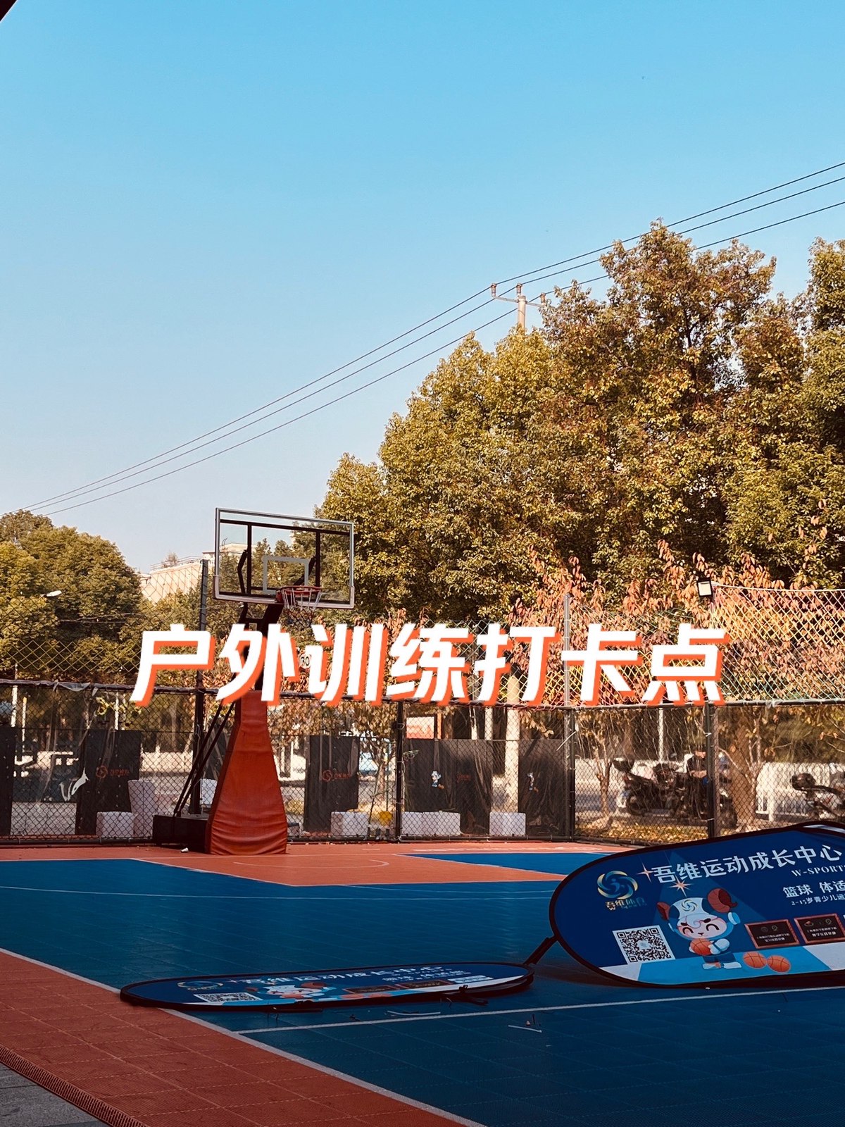 哪里有针对青少年的篮球训练反馈系统